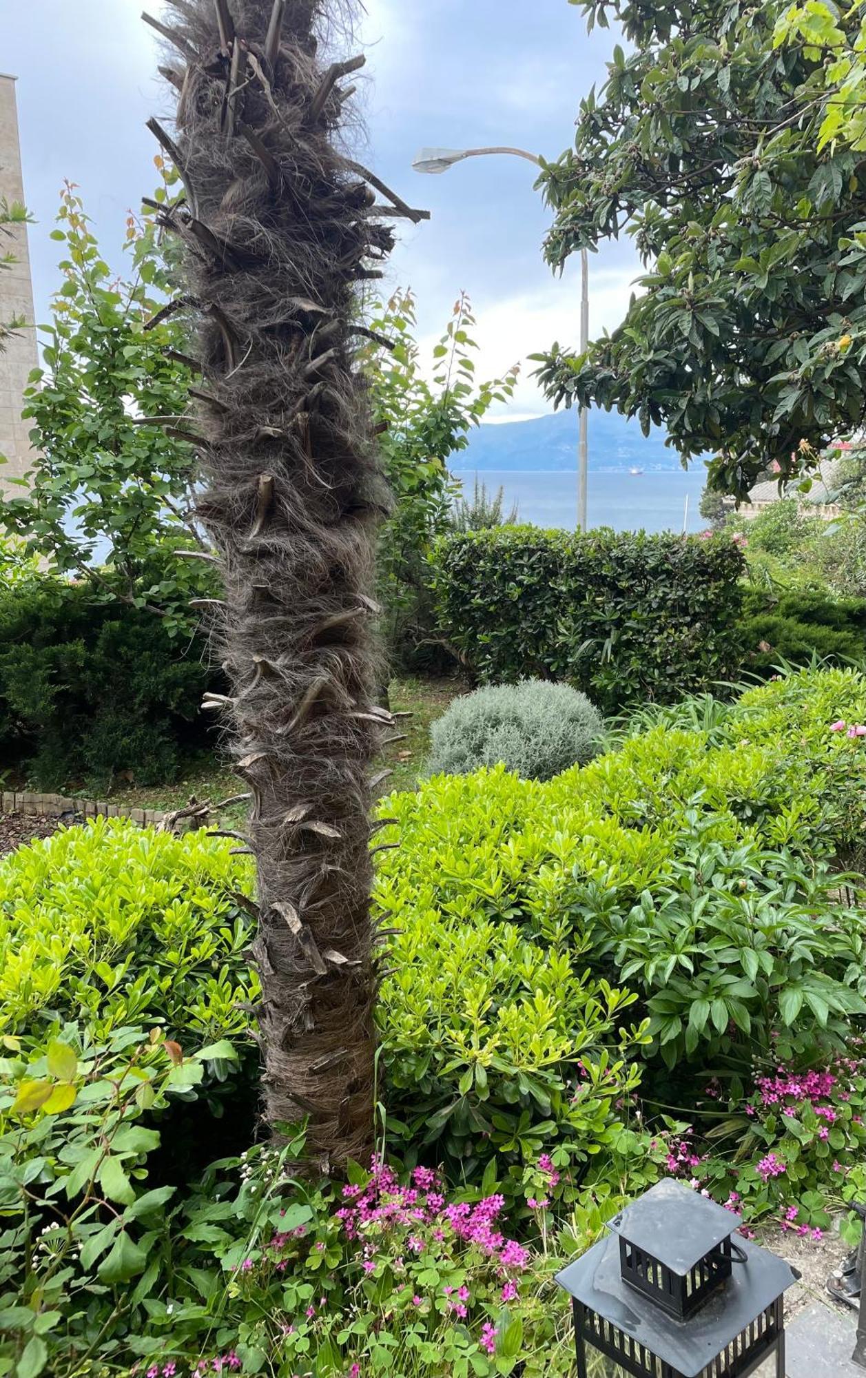 Dolce Vita Rijeka Exteriör bild